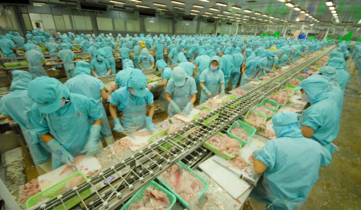 IDI tìm đường xuất khẩu sang Mỹ