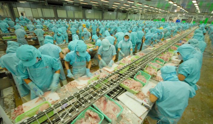 IDI tìm đường xuất khẩu sang Mỹ