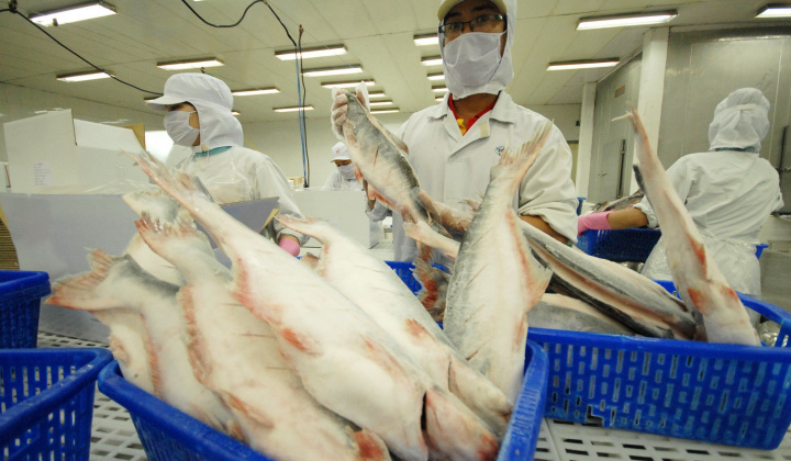 Đánh thức giá trị thật