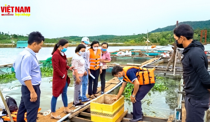 Mô hình nuôi cá lồng bè trên sông hồ gắn với tiêu thụ sản phẩm tại Nam Trung Bộ và Tây Nguyên
