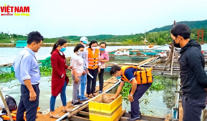 Mô hình nuôi cá lồng bè trên sông hồ gắn với tiêu thụ sản phẩm tại Nam Trung Bộ và Tây Nguyên