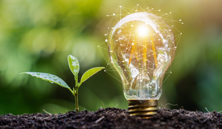 Điện sạch sẽ là nguồn năng lượng chính trong chuyển đổi năng lượng tại Việt Nam