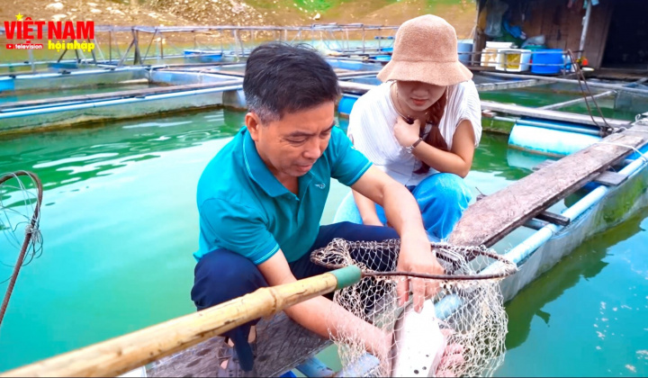 Hiệu quả từ mô hình nuôi cá lồng bè tại Quảng Nam