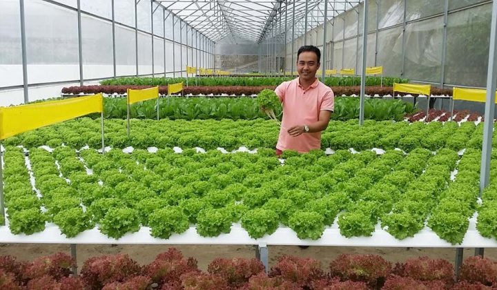 Cắt giảm, đơn giản hóa nhiều thủ tục hành chính lĩnh vực nông nghiệp
