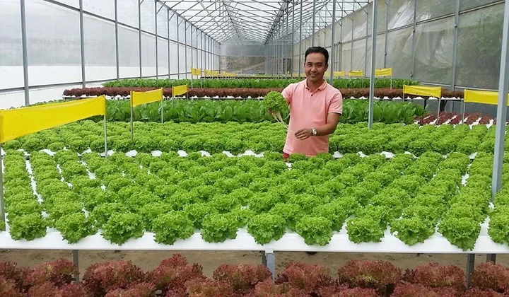 Cắt giảm, đơn giản hóa nhiều thủ tục hành chính lĩnh vực nông nghiệp
