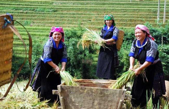 Tăng trưởng kinh tế với giảm nghèo: Lý luận và thực tiễn tại Việt Nam