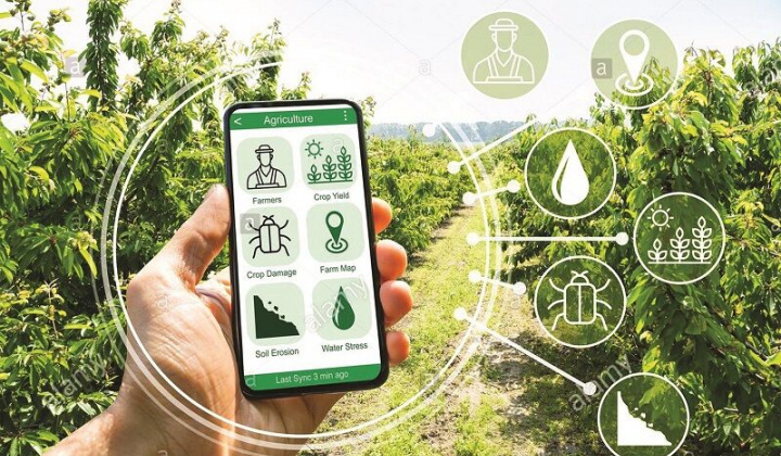 Thúc đẩy toàn diện chuyển đổi số ngành nông nghiệp