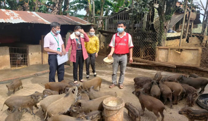 Đắk Nông: Hội phụ nữ xã Đắk R’Măng, Đắk Glong quản lý tốt, hiệu quả nguồn vốn ủy thác