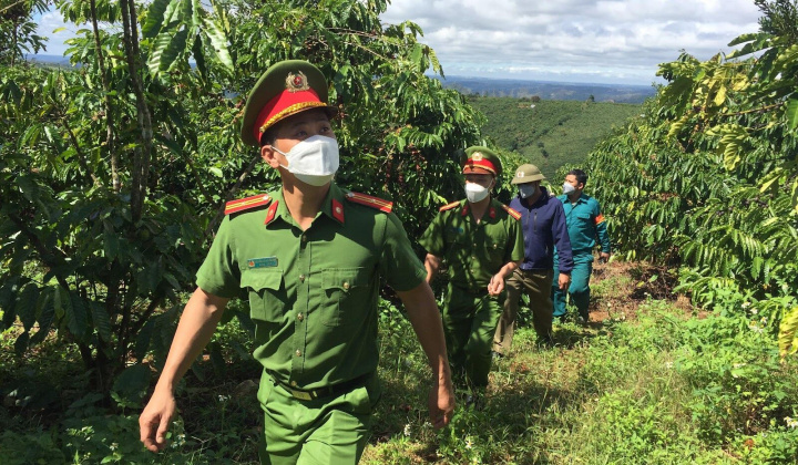 Công an Đắk Nông giữ bình yên trong mùa thu hoạch cà phê