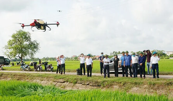 Nông sản cất cánh nhờ công nghệ