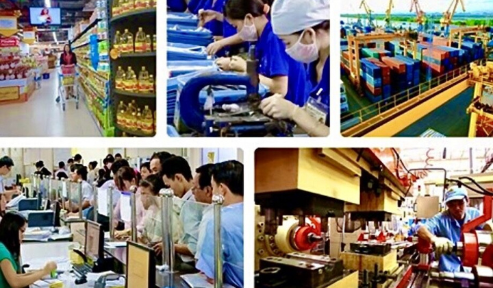 Phát triển kinh tế tập thể năng động, hiệu quả