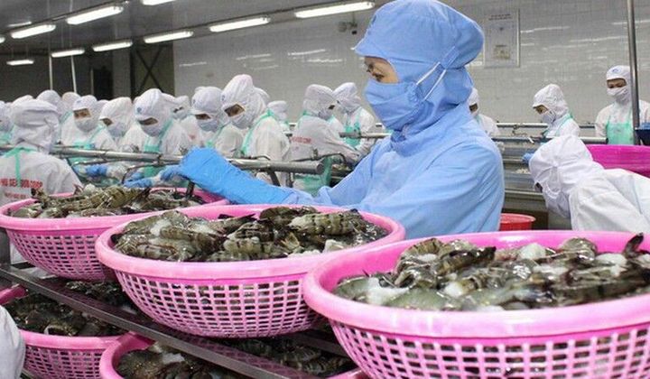 Thêm một cánh cửa thâm nhập thị trường Bắc Âu