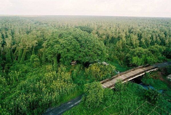 Cà Mau: Tăng cường phòng cháy, chữa cháy rừng mùa khô