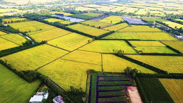 Khơi nguồn lực đầu tư phát triển bền vững Đồng bằng sông cửu long