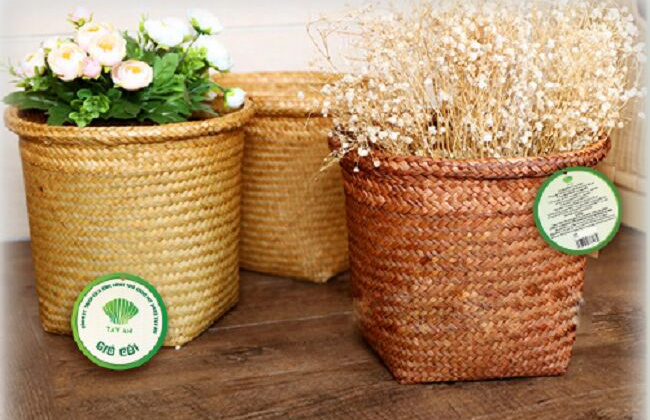 Thái Bình có 17 sản phẩm OCOP đạt hạng 4 sao