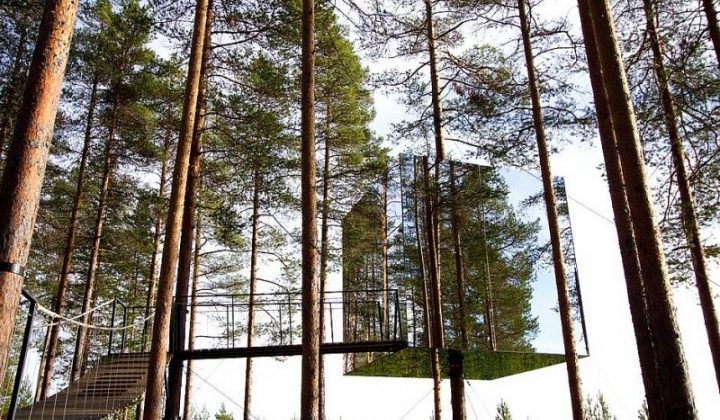 Độc đáo những công trình nhà trên cây