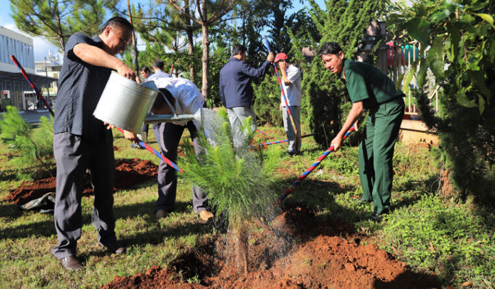 Lâm Đồng: TP. Bảo Lộc phát động trồng 2,4 triệu cây xanh