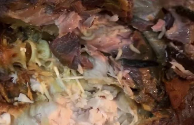 CleverFood đóng cửa 3 ngày vì sự cố cá kho có giòi