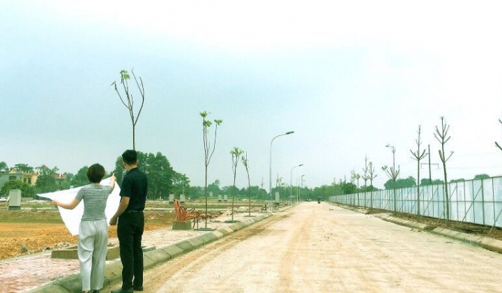 Thanh Hóa: Tiếp tục tăng cường chấn chỉnh công tác quản lý nhà nước về giá đất