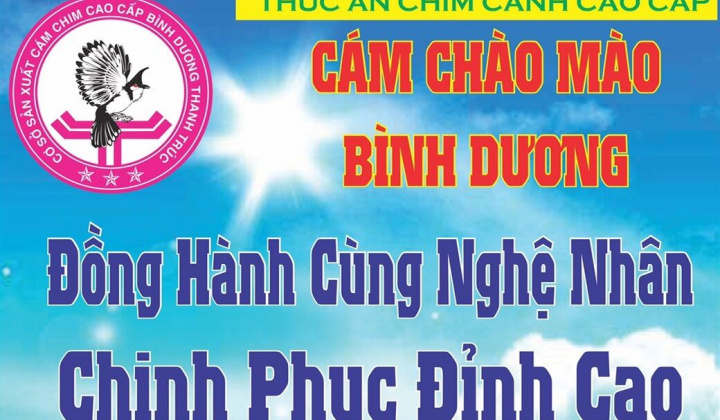 Cám chào mào Thanh Trúc: Đồng hành cùng nghệ nhân chinh phục đỉnh cao