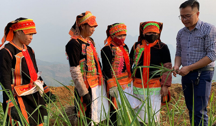 10 dự án phát triển vùng đồng bào dân tộc thiểu số, miền núi