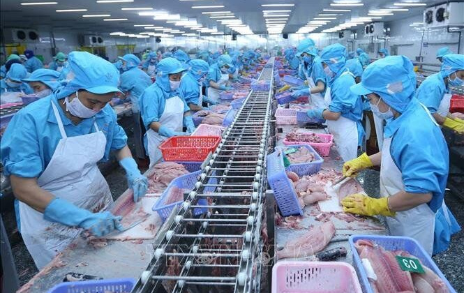 Xuất khẩu nông, lâm, thủy sản của Việt Nam tăng khá cao