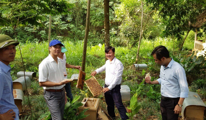 Huyện Ba Vì: Phát triển kinh tế các chi, tổ hội nông dân nghề nghiệp