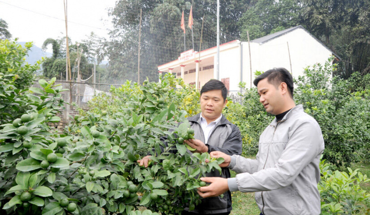 Hàm Yên, Tuyên Quang: Giảm nghèo để xây dựng nông thôn mới