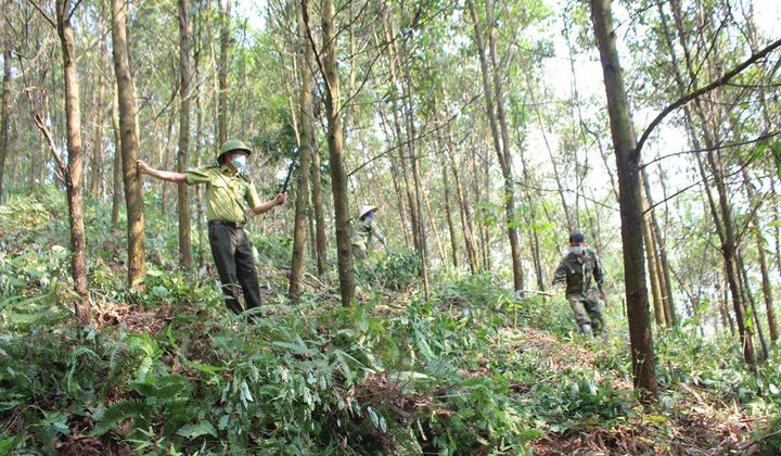 Đồng Hỷ, Thái Nguyên:  Tăng cường phòng, chống cháy rừng