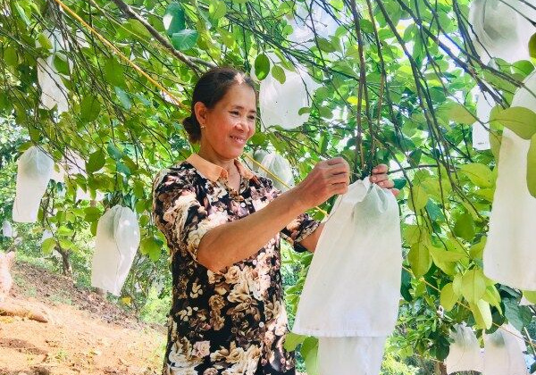 Cao Bằng: Phong trào nông dân thi đua sản xuất góp phần phát triển kinh tế - xã hội địa phương