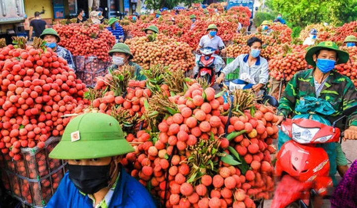 Mô hình kết nối tiêu thụ nông sản: Hình thành một nền nông nghiệp minh bạch
