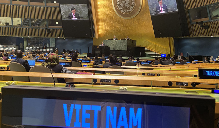 Việt Nam đóng góp thực chất vào công việc của Hội đồng Bảo an