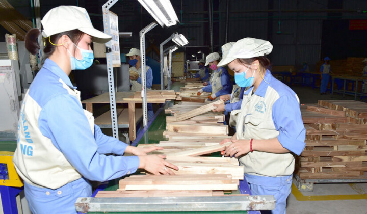 Tuyên Quang: Tăng trưởng giá trị sản xuất công nghiệp trong bối cảnh dịch bệnh