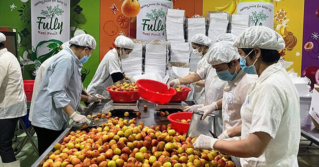 Lòng tin của người tiêu dùng quốc tế tăng lên với nông sản Việt