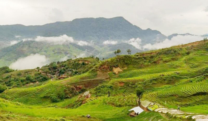 Giấc mơ trên đỉnh Ngọc Linh