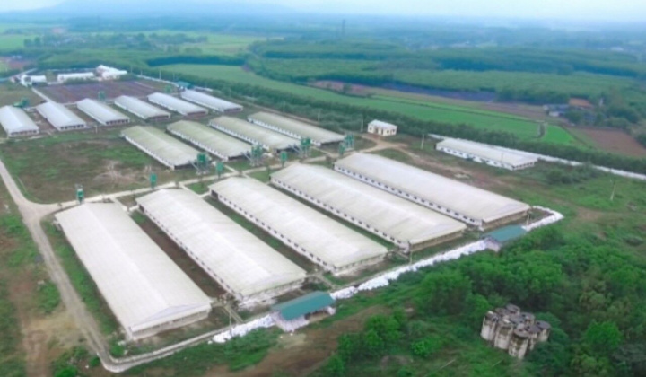 Gia Lai: Nông nghiệp sạch gắn với công nghệ cao