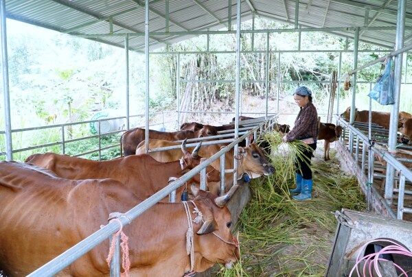 Cao Bằng: Bình Dương tập trung phát triển kinh tế, nâng cao đời sống nhân dân