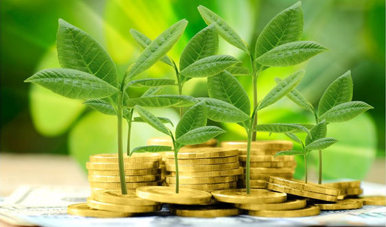 Ngân hàng Phát triển Việt Nam tăng tốc trên hành trình 'xanh hoá'