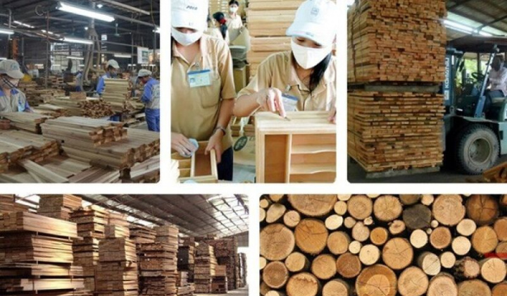 Bức tranh ngành lâm nghiệp tươi sáng trong 6 tháng đầu năm