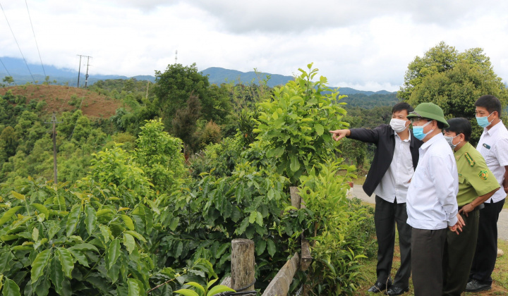 Kon Tum: Triển khai ngay nhiều phương án đảm bảo đạt tiêu chí NTM