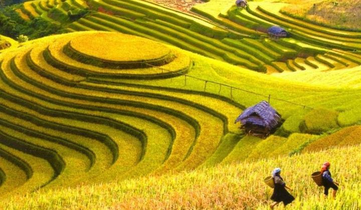 Hà Giang tổ chức trực tuyến chương trình du lịch Hoàng Su Phì