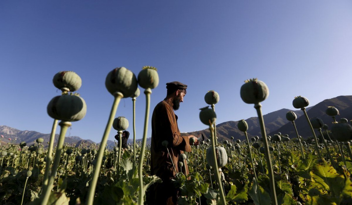 Quá nhanh, quá nguy hiểm, một Taliban giàu có và lớn mạnh lấy tiền từ đâu?