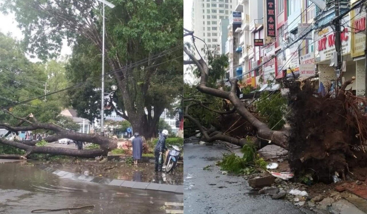 Pleiku (Gia Lai): Mưa lớn, làm nhiều phương tiện hư hỏng