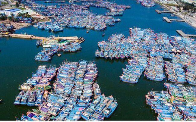 Đẩy nhanh tiến độ xây dựng đề án quy hoạch ngành nông nghiệp