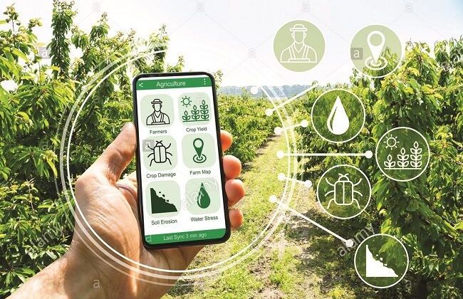 Nam Định nỗ lực chuyển đổi số trong lĩnh vực nông nghiệp