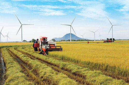 Ninh Thuận: Quyết tâm hoàn thành kế hoạch phát triển KT-XH 5 năm giai đoạn 2021-2025