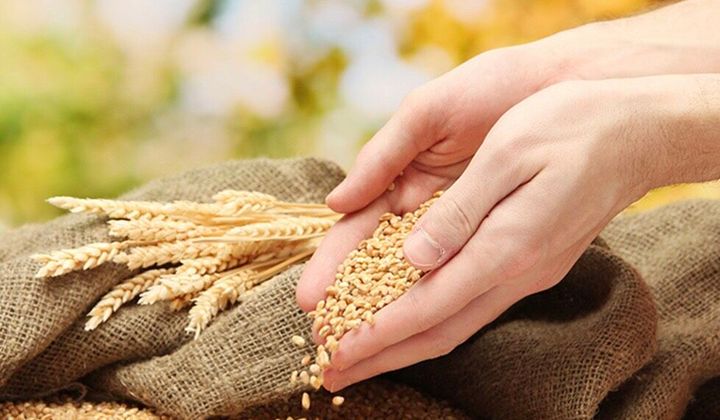 Đảm bảo an ninh lương thực trước cú sốc COVID-19