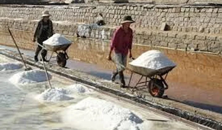Ninh Thuận: Ngành Nông nghiệp đang phát triển, đổi mới đúng hướng