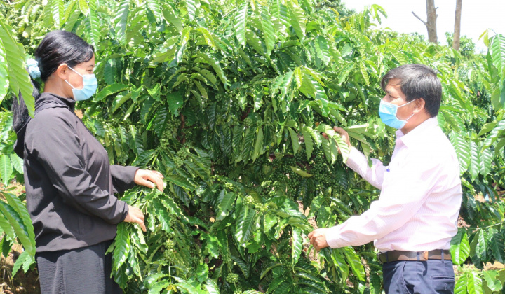 Nguồn vốn tín dụng chính sách giúp giảm nghèo cho ĐBDT thiểu số huyện Đắk GLong, Đắk Nông