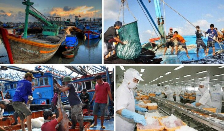 Quyết tâm gỡ cảnh báo 'thẻ vàng' của EC